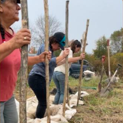 Three people dancing the rice to slough off the hull for the wild rice they collected