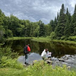 Three people explore the edge of a pond surrounded by trees.