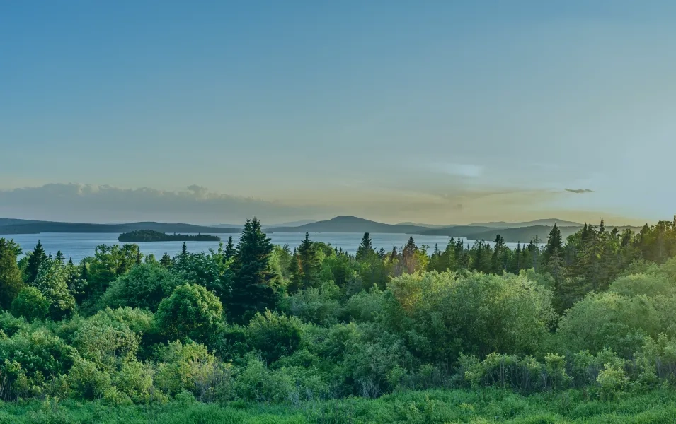 Sunrise in the Maine landscape with trees and water